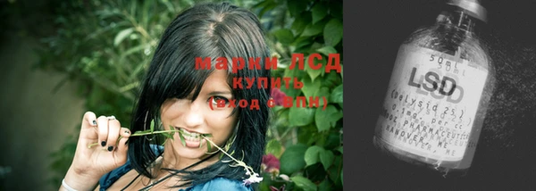 ECSTASY Алзамай