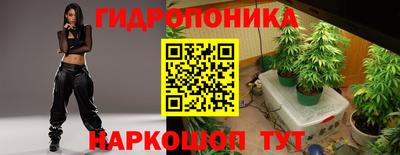 ECSTASY Донской