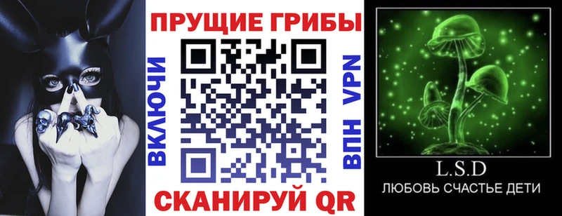 Псилоцибиновые грибы мухоморы  Протвино 