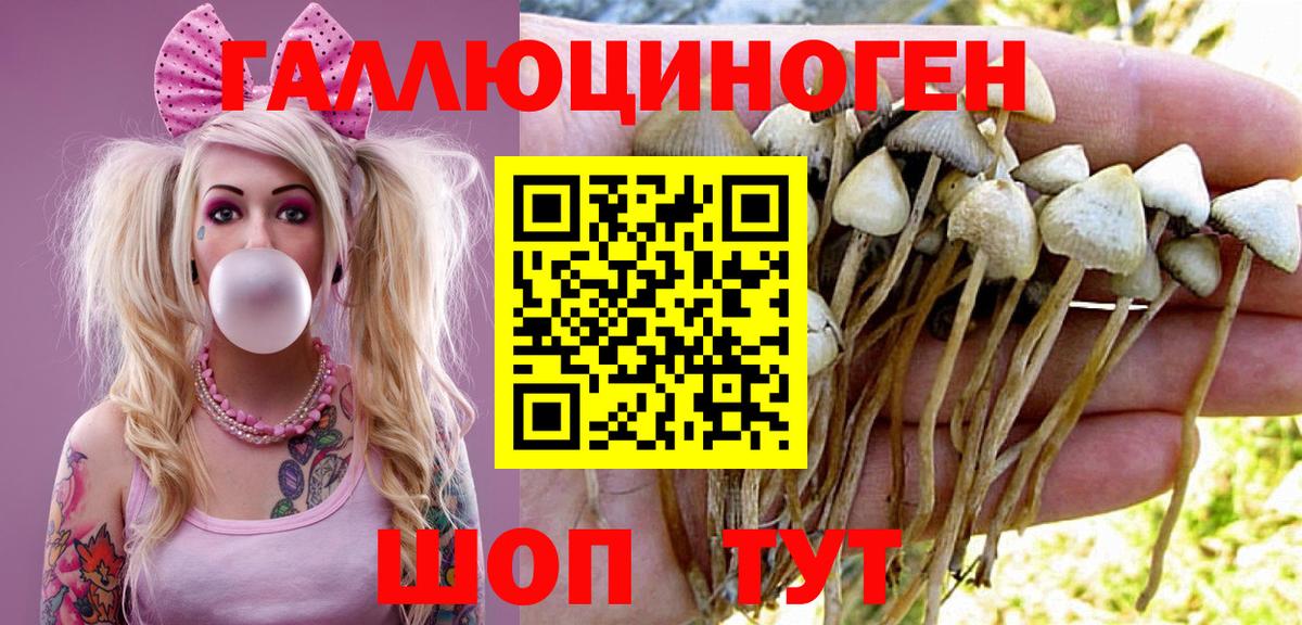Псилоцибиновые грибы GOLDEN TEACHER Протвино